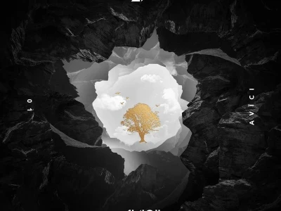 The Avicii Estate: A Financial Breakdown of the Posthumous Music Machine