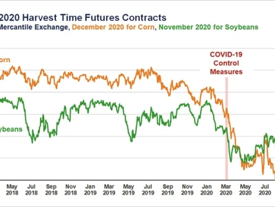 Soybean Prices: Decoding the Volatility