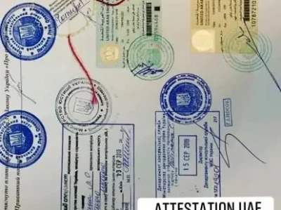 BNB Attestation Service: Price, Partnership, and What It Actually Is