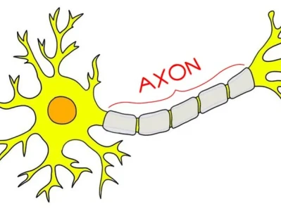 The Bull Case for Axon: Why It's More Than Just a Stock and What It Means for Our Future