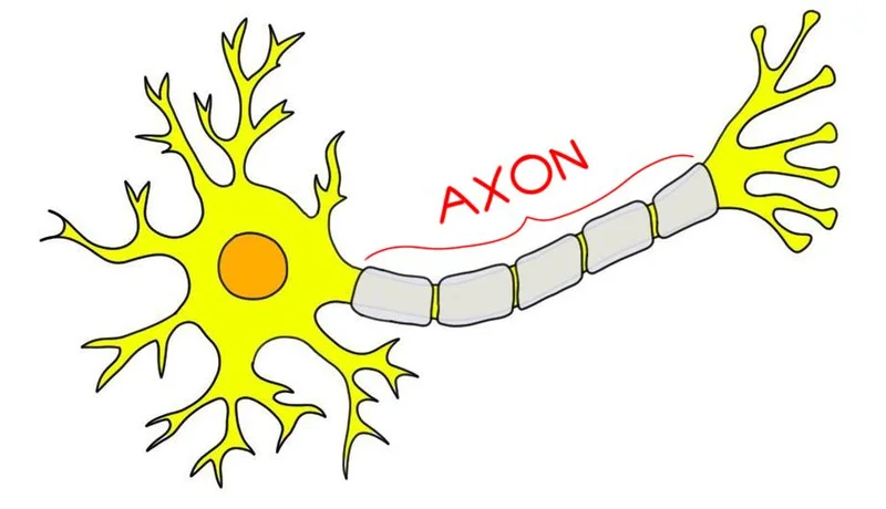 The Bull Case for Axon: Why It's More Than Just a Stock and What It Means for Our Future
