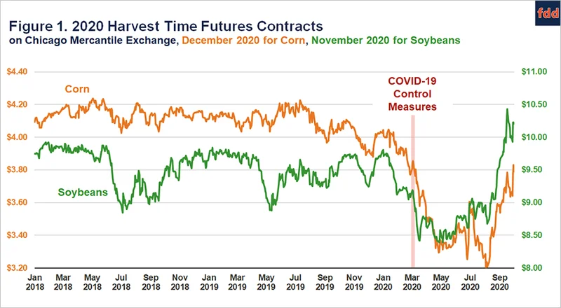 Soybean Prices: Decoding the Volatility