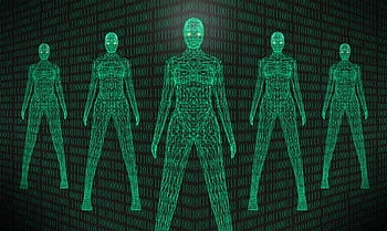 AI Stocks Soar: Economy Pulls Back (Reality Check Incoming)